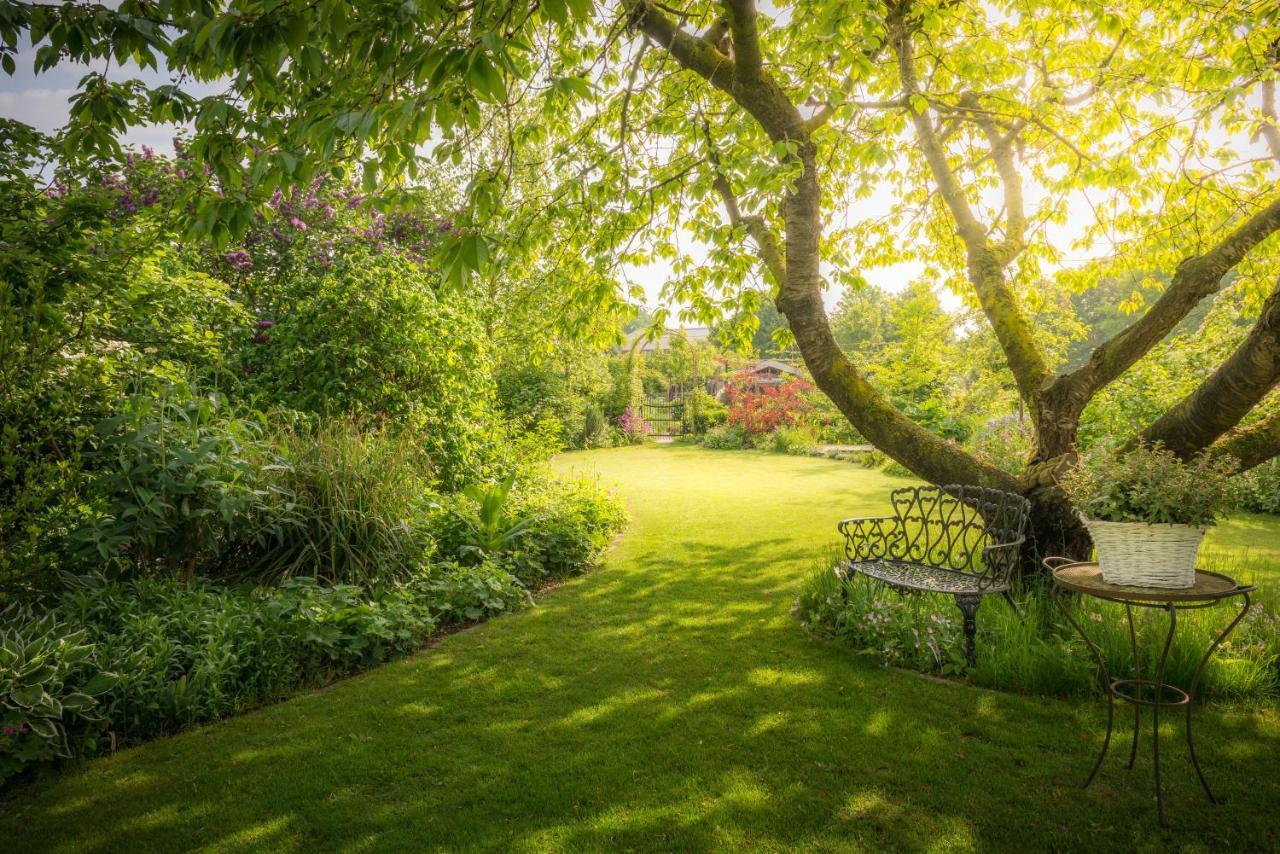 B&B Botervlieg Montfort Exteriér fotografie