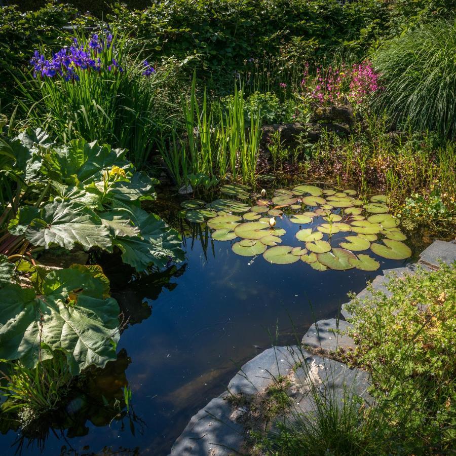 B&B Botervlieg Montfort Exteriér fotografie